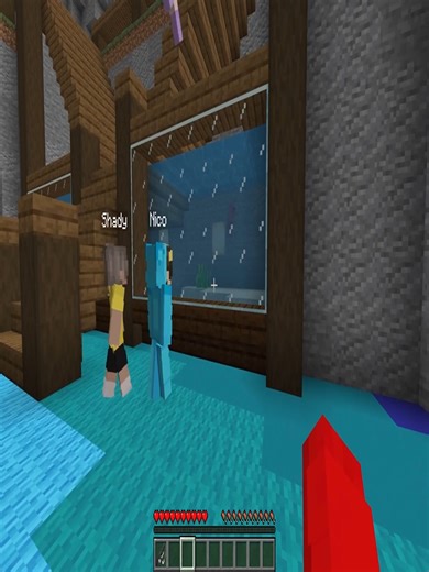 Adopting the Biggest Octopus in Minecraft: Pure Chaos!