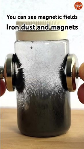 Can you REALLY see magnetic fields with this trick?