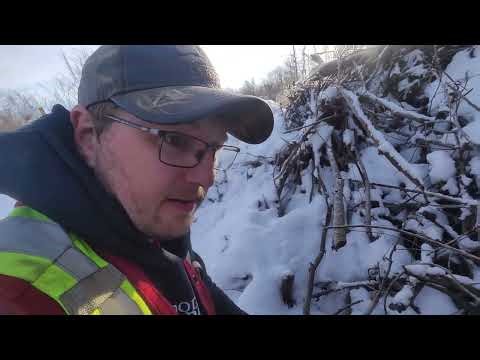 November 24, 2025 - Weasel Box Frustration