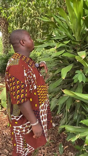 TikTok Benin: Culture and Trends from the Heart of West Africa