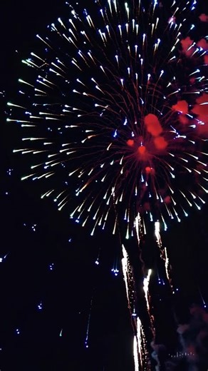 Epic Fireworks Show 🎆 Colorful Explosion in the Sky #Shorts