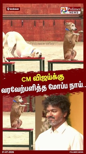 CM விஜய்க்கு வரவேற்பளித்த மோப்ப நாய்.. #SHORTS #CMVIJAY