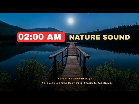 30 min of 02:00 AM Forest Nature Night Sounds | Night Ambient Sounds, Cricket,Swamp Night Sounds