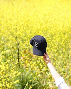 Since 2006, there has been a drastic increase in the disappearance of...