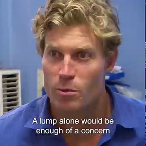 592K views · 28K reactions | Pluto is a dog with talent!  His voice is now at risk and it's up to Dr Chris to see what is going on.  | Bondi Vet | Facebook