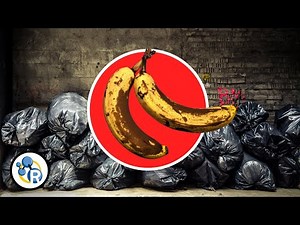 Can I Still Eat This?