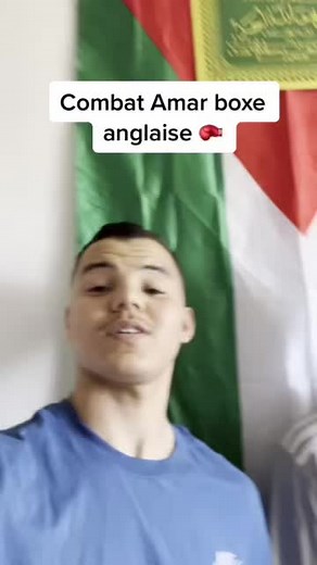 Understanding Boxing Sign Language and Expressions