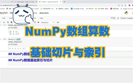 NumPy ndarray | 多维数组对象 | 知识点 实例（2）