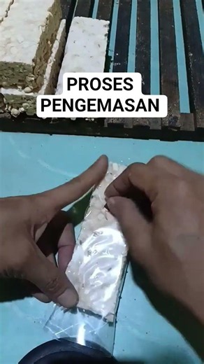 PROSES PENGEMASAN TEMPE TAHAP KE 2 #tempe #kedelai #jamurputih