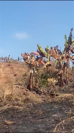 Song Song606 (@songsong6060)’s videos with เสียงต้นฉบับ - Tay💚