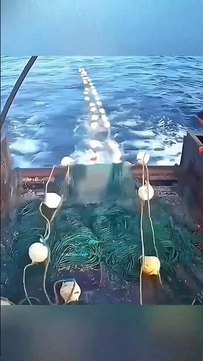 Bottom trawling explained