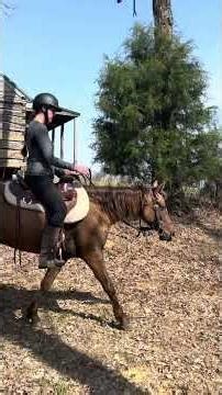 McGuire’s Candy Kisses at White Hawk Ridge 3/25/26