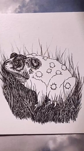 Creepy Eye Drawing Compilation