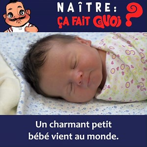 Et si on remontait aux origines de Gustave, lors de sa conception et de sa naissance ? | Poisson Fécond