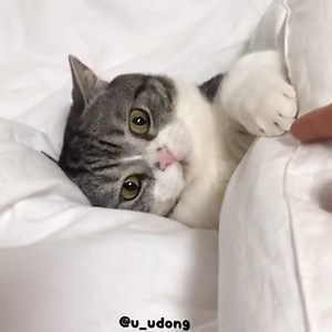 When anyone tries to get me out of bed 😡 | LADbible