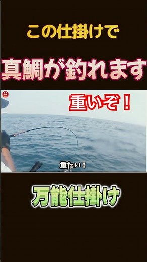 [2馬力ボート釣り]BiC245・五目釣り愛好者必見！万能な仕掛けで真鯛を釣り上げよう！＃short＃ミニボート＃2馬力＃万能仕掛け＃和歌山