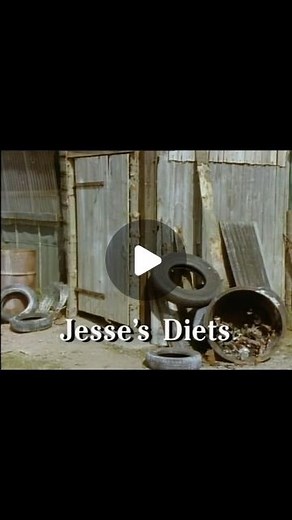 TheFastShow1 on Instagram: "Jesse’s Diets #TheFastShow"