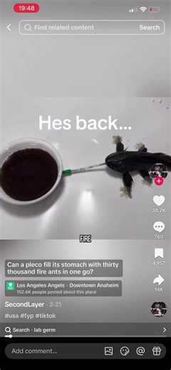 Lab Germ Returns on New Account