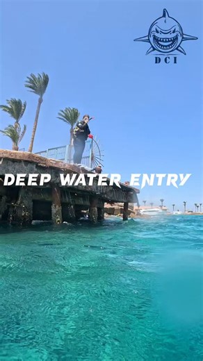9.1K views · 2.4K reactions | how to jump in the water with scuba gear on #scubadiving #diving #sealife #adventure #vacation #beach #travellers #travel #divecraftinstructor #holiday | Dive Craft Instructor | Facebook