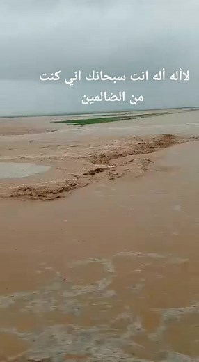 Understanding Flooded Areas: Causes and Impacts