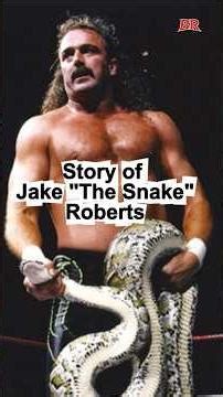 Story of Jake "The Snake" Roberts #wwe #wwehistory #wrestling