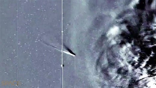 Comet Nishimura's tail fails in the solar wind in amazing spacecraft time-lapse