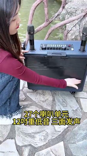 Long Phát Audio Karaoke Speakers 7489015968602148130