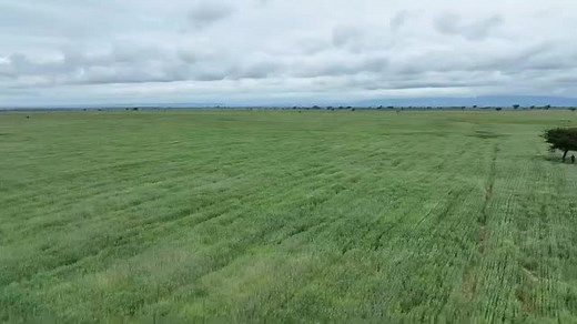 Addis Ababa Prosperity Party on TikTok