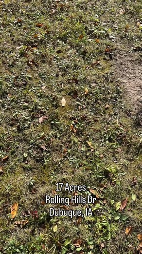 17 acres to build your dream home, be a tree hugger, let your animals run, let your friends run, ride your toys or dance  like no one is watching! #putyourrootsdown #exitunlimited | Sharon Gaul- Dubuque Real Estate | Facebook