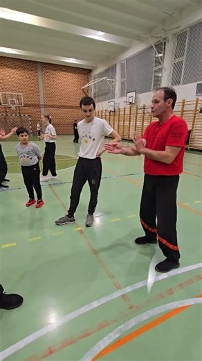 294K views · 1.2K reactions | #fight #wingtsun #kungfu | Wing Tsun COOL School | Facebook