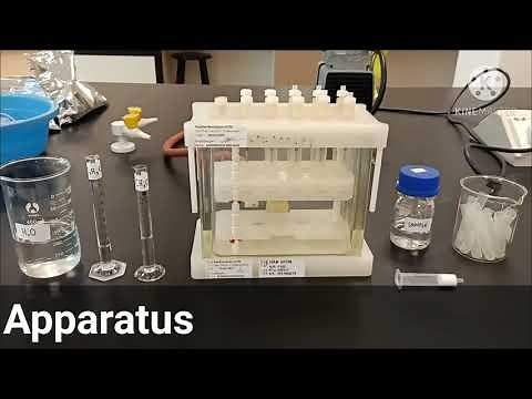 Practical 3: Solid Phase Extraction
