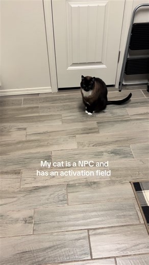 My Cat: An NPC Treat Dispenser