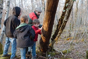 Chasse à l'approche au chamois