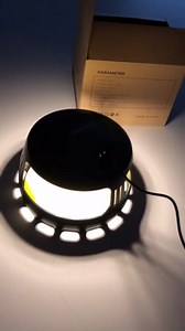 Flea Traps for Inside Your Home, USB Rechargable Flying Insect Trap Indoor for Fleas Gnats Flies Moth Mites Bugs Fruit Flies Mosquitoes with 10 Refills, Black