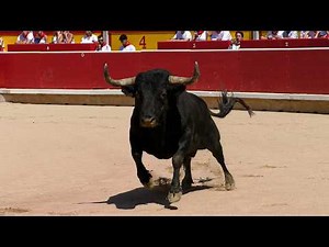 Bull-leaping competition, San Fermín 2026