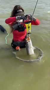 ‼️ New Heaviest Trout Leader Alert ‼️ Team Mermaid Fishing is on 🔥! Legends in Lace Angler Sarah Zurovec with a major upgrade…7.52 lbs!! Way to go Sarah…Congrats!! 💪🏽 | Saltwater Legend Series