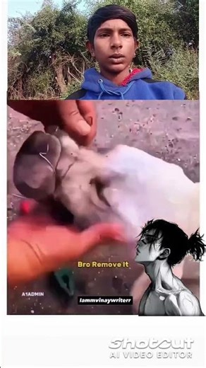 Dog Sad Moments ❤️‍🩹😣😭 #shorts