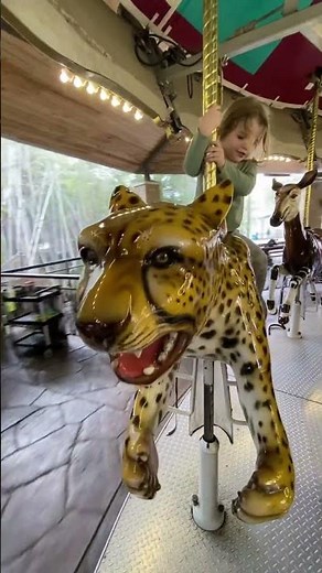 Merry Go Round at the Dallas Zoo