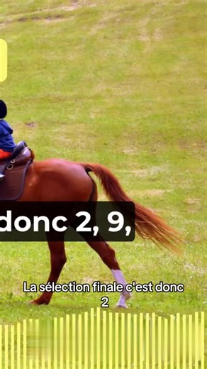 Course décisive : stratégies et émotions en quelques minutes