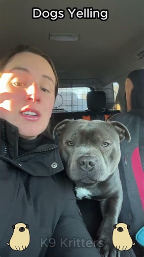Dogs Yelling #dogs #funny