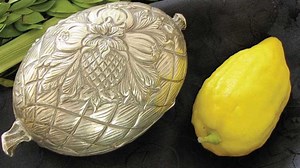 Etrog: The Sukkot symbol with Chinese roots | The Jerusalem Post