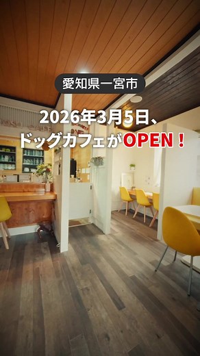 2026年3月5日オープン！一宮のドッグカフェ
