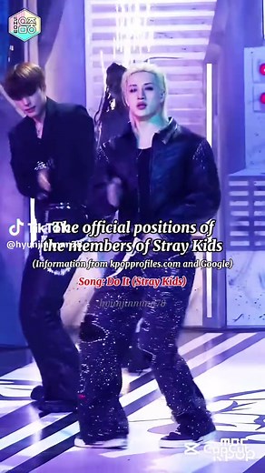 Official Positions of Stray Kids Members