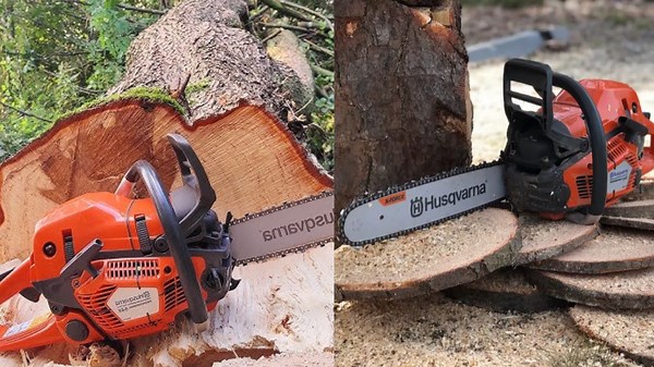 Superhuman Cut Down Trees Using Modern Techniques in Freezing Cold