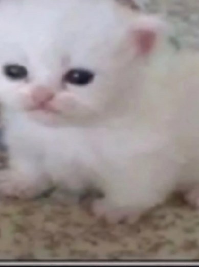 jungle main btw #cursedscythekayn #kayn #leagueoflegendsriotgames #leagueoflegends #riotgames #leagueoflegendsmemes #leagueoflegendsfunny #foryou #fy