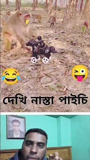 monkey is thinking #funny #shortvideo