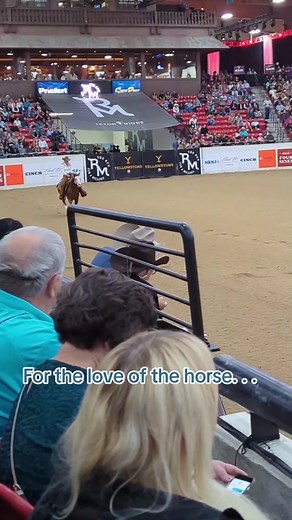 for the love of the horse... #trfam #therunforamillion #reininghorse | barrel racing