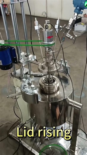 1L Laboratory Reactor