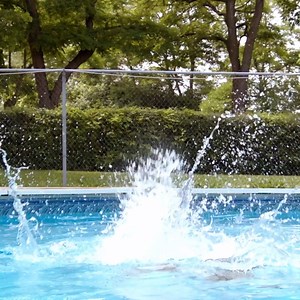 6.8K views · 546 reactions | It's dive time!  [Note: All dogs react differently when trying new tricks. Remember to stay cautious and careful!] Tips & Tricks with Sherri & Diesel is brought to you by the Frequency Podcast Network and Maple and Cedar Listen to the #How2Dog podcast today https://frequencypodcastnetwork.com/podcasts/how2dog/ | Hudson & Rex on Citytv | Facebook