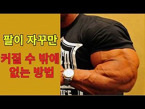 팔 커지는 가장 효과적인 운동! 팔 운동 루틴과 방법